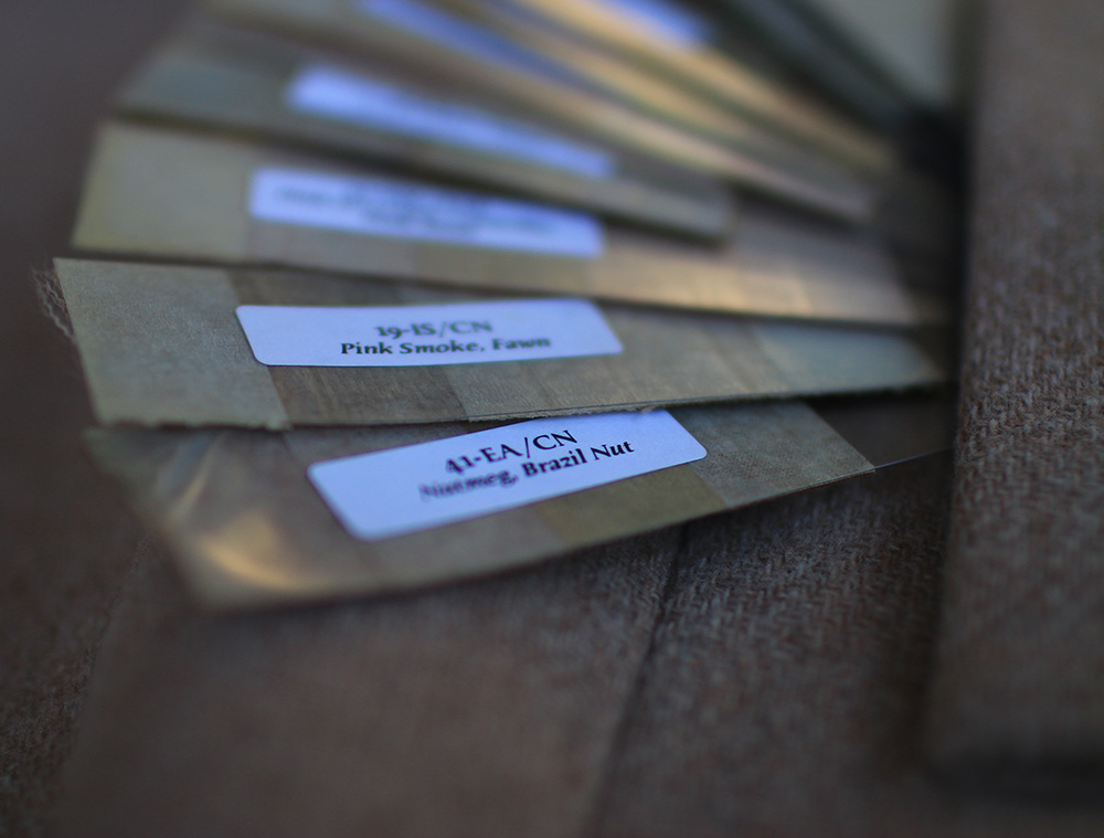 Camel-color-names