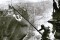 One of the images that defined me. Berlin, May 1945. Soviet soldiers putting a USSR flag on top of Reichstag indicating the End of World War Two. The war that for Russia  certainly wasn’t a campaign, but a deadly battle for survival. It started  on June 22 of 1941 with Nazi invading and kept the country fighting for itself and for the Eastern Europe for four long years, ending up doing the heavy duty & the dirty job before the victorious US troops arrival in 1944. 1500 days and every single one of them was a Pearl Harbor. May 9 is a Memorial Day in Russia. The day we remember our Soviet grandparents,  thank them for their selflessness and pray for Never Again.